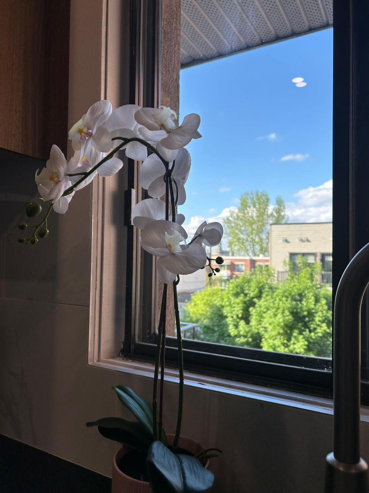 Orchid Lodgement Μόντρεαλ Εξωτερικό φωτογραφία